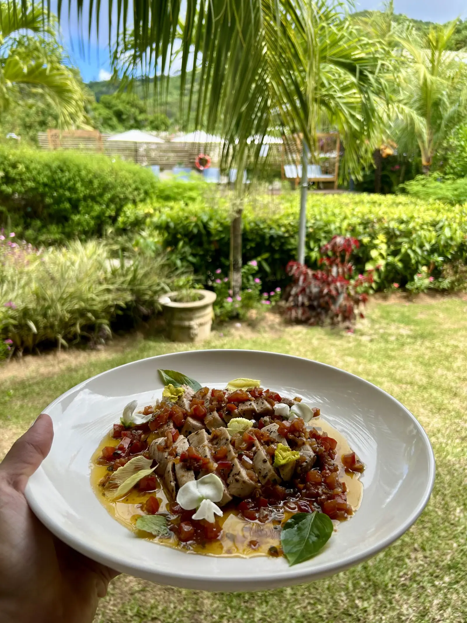 Beautifully plated dish held up against the garden