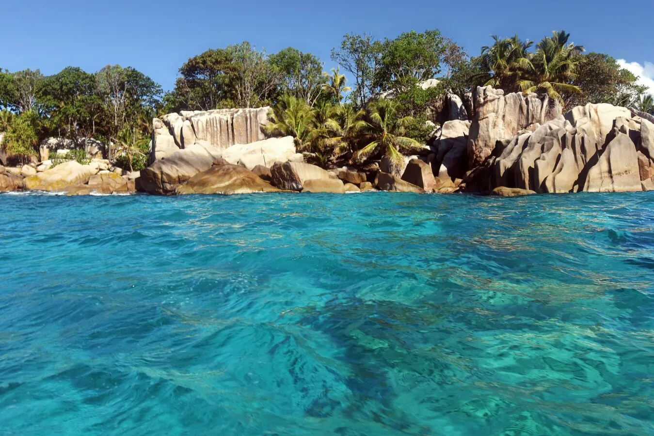 Clear water below a palm-covered granite shore