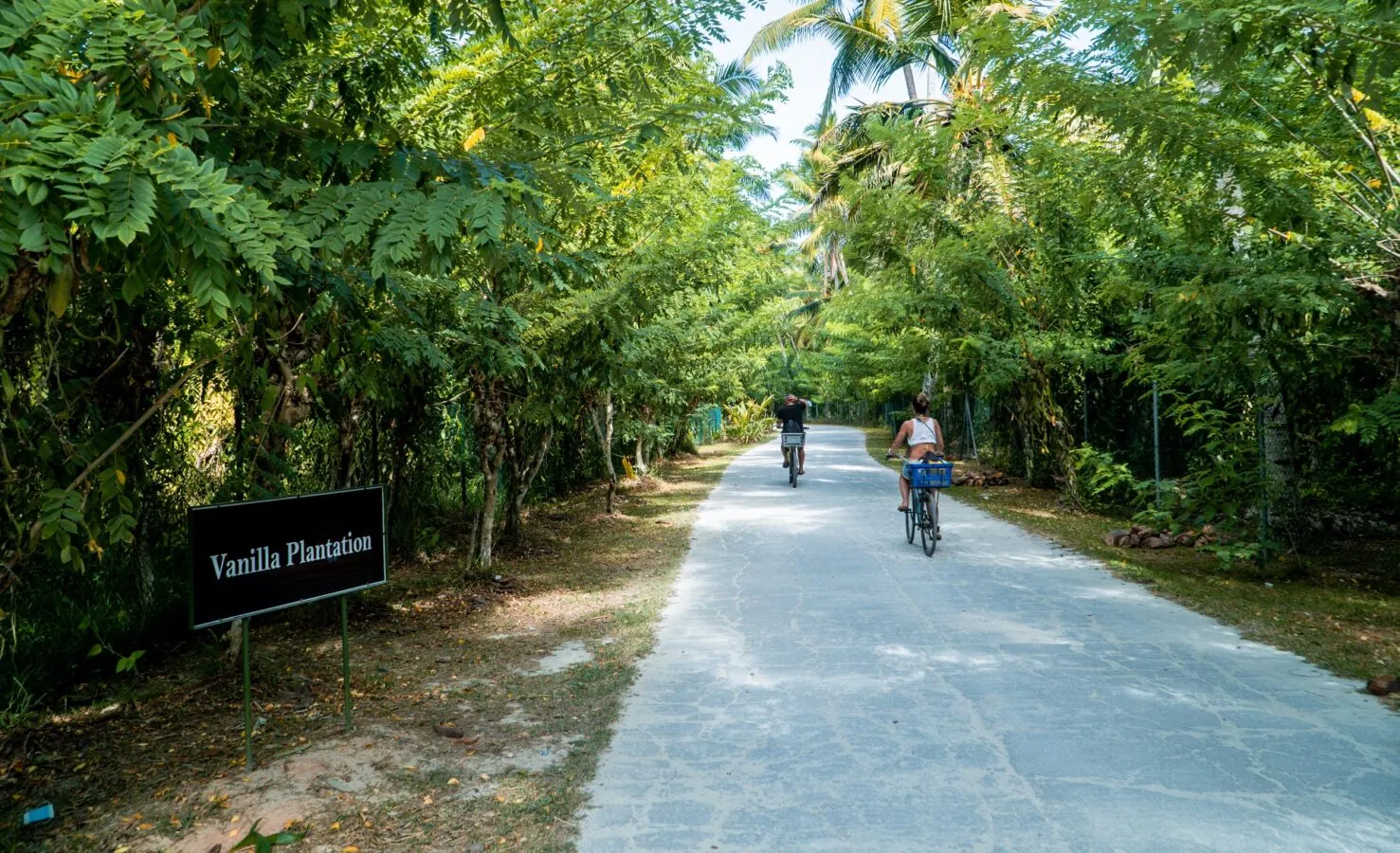 Cycling along a shaded path on La Digue