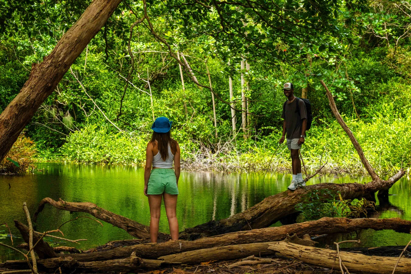 Exploring the mangroves on Curieuse