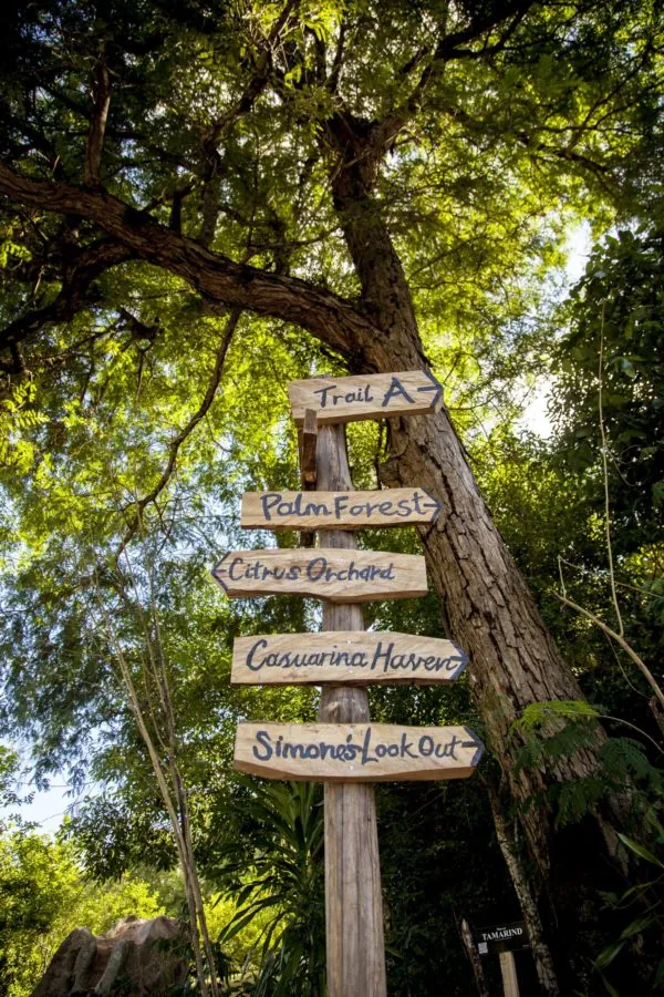 Wooden trail signs in the forest at Cap Lazare