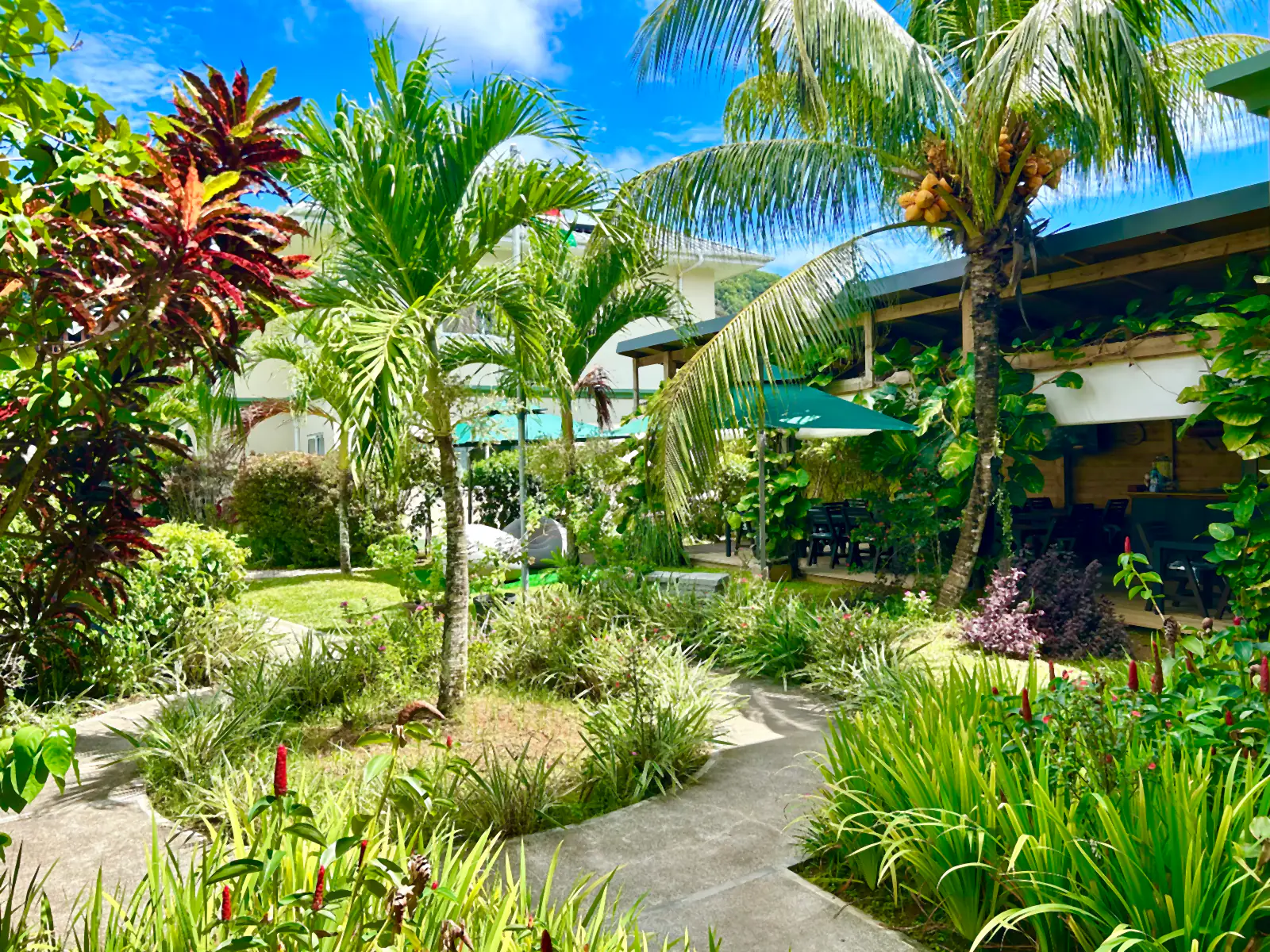 A path winding through the tropical garden between the apartments